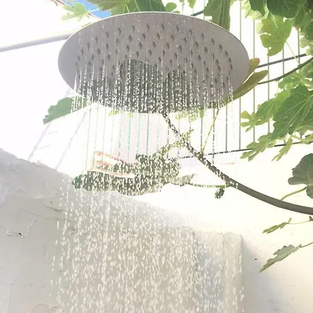 Апартаменты La Casa De La Higuerita