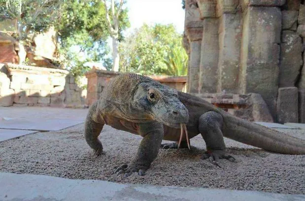 Apartment La Casa De La Higuerita