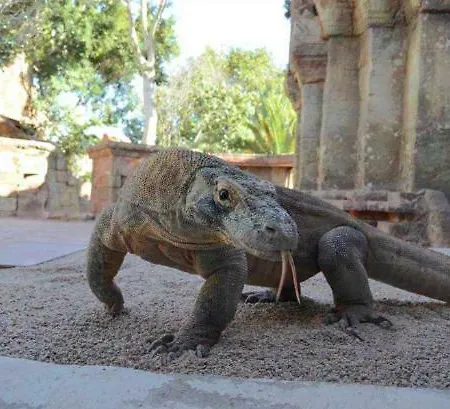 Appartement La Casa De La Higuerita